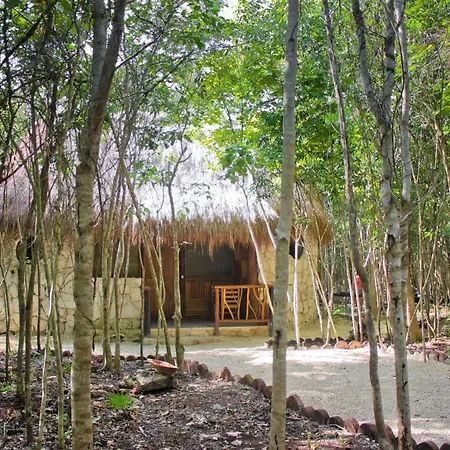 Aldea Maya-Ha Cabanas Con Cenotes Puerto Morelos Extérieur photo