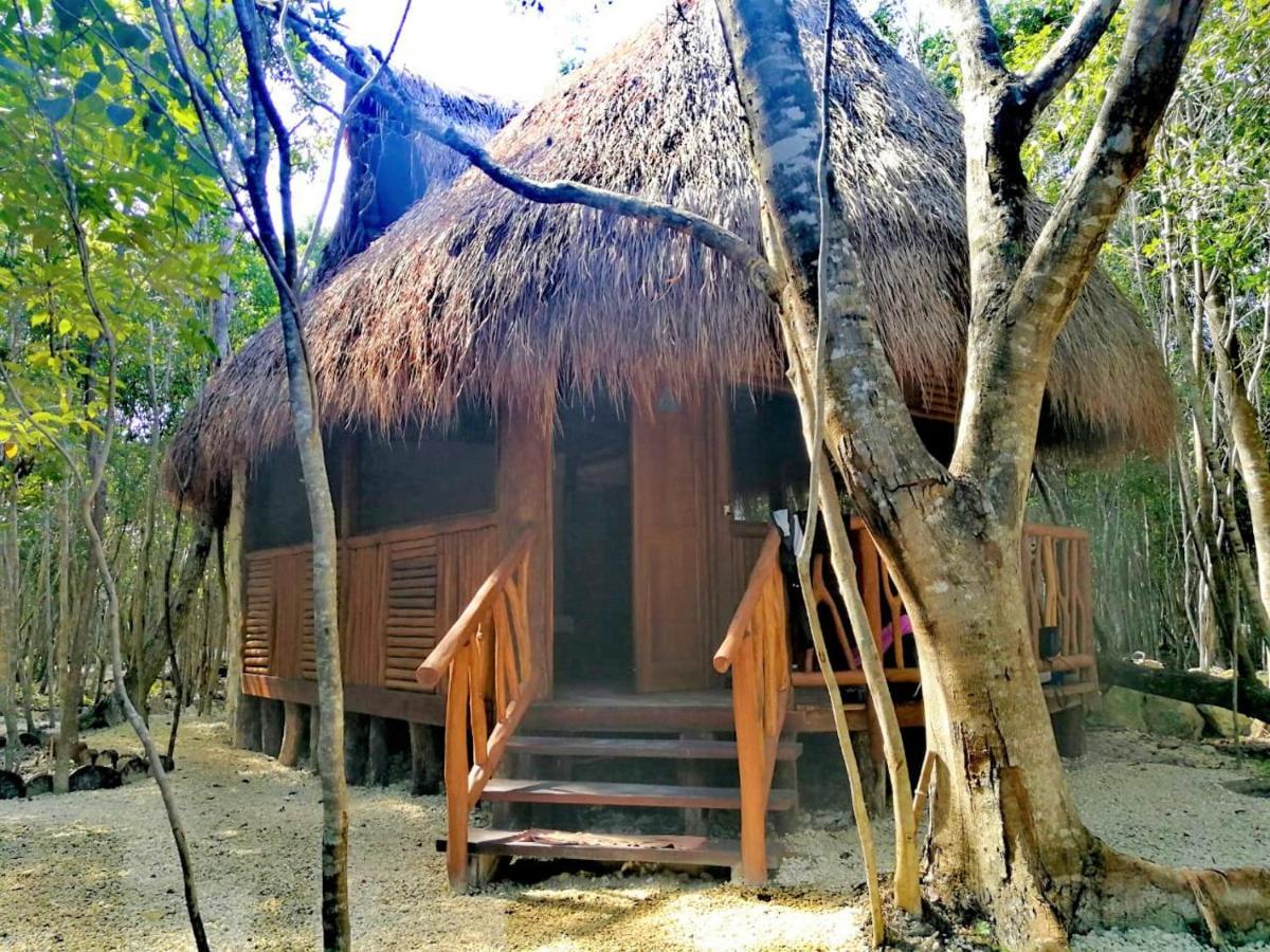 Camping Aldea Maya-ha Con Cenotes