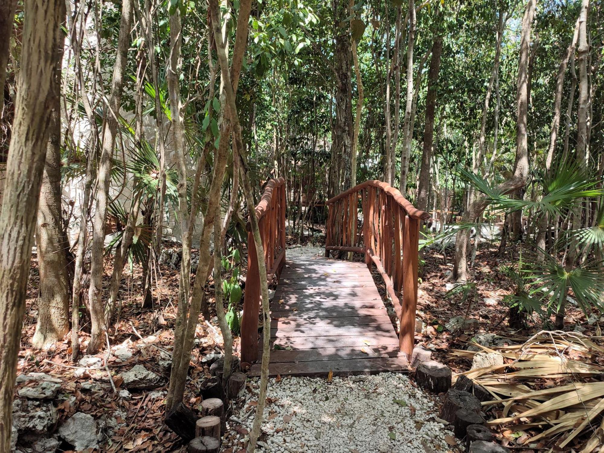 Camping Aldea Maya-ha Con Cenotes