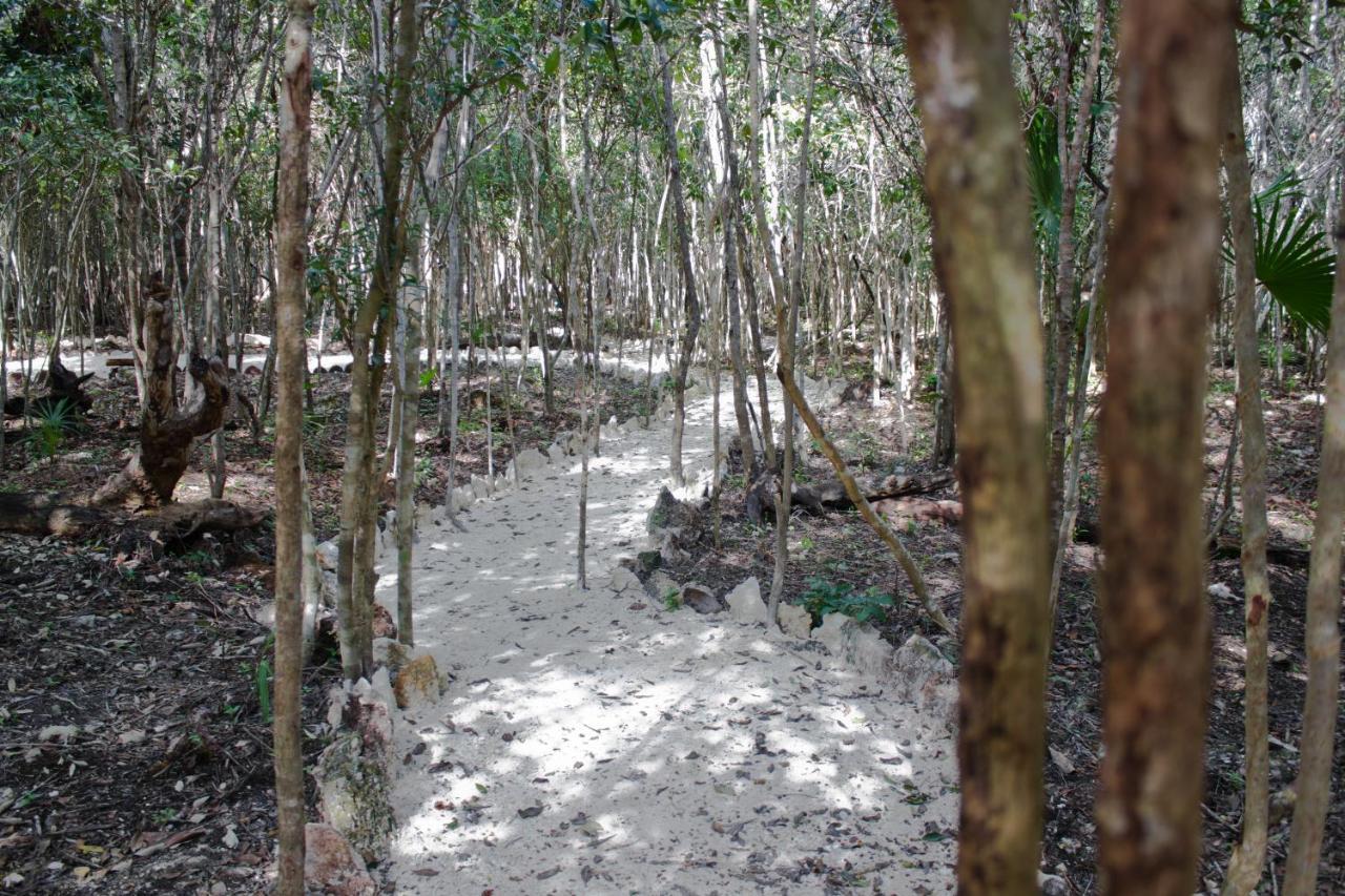 Camping Aldea Maya-ha Con Cenotes