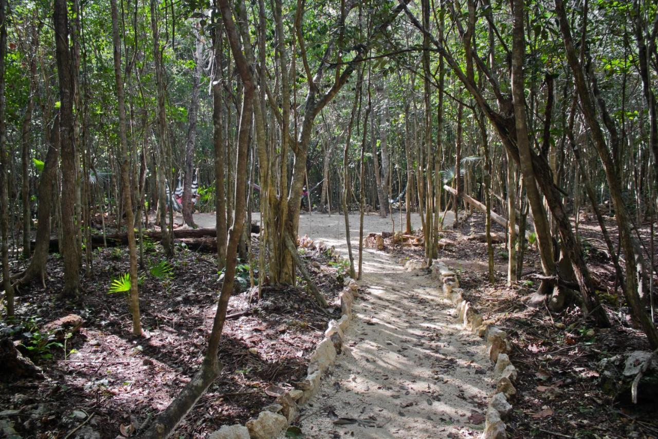 Camping Aldea Maya-ha Con Cenotes